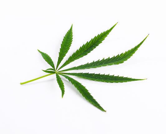 cannabis-leaf