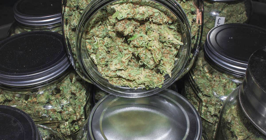 6 Ways to Help Parents Safely Store Their Weed